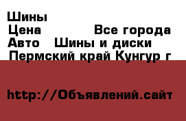 Шины bridgestone potenza s 2 › Цена ­ 3 000 - Все города Авто » Шины и диски   . Пермский край,Кунгур г.